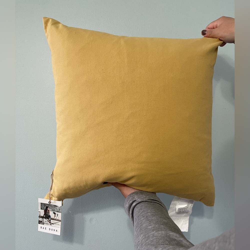 Rae Dunn Spring pillow - Picture 2 of 4